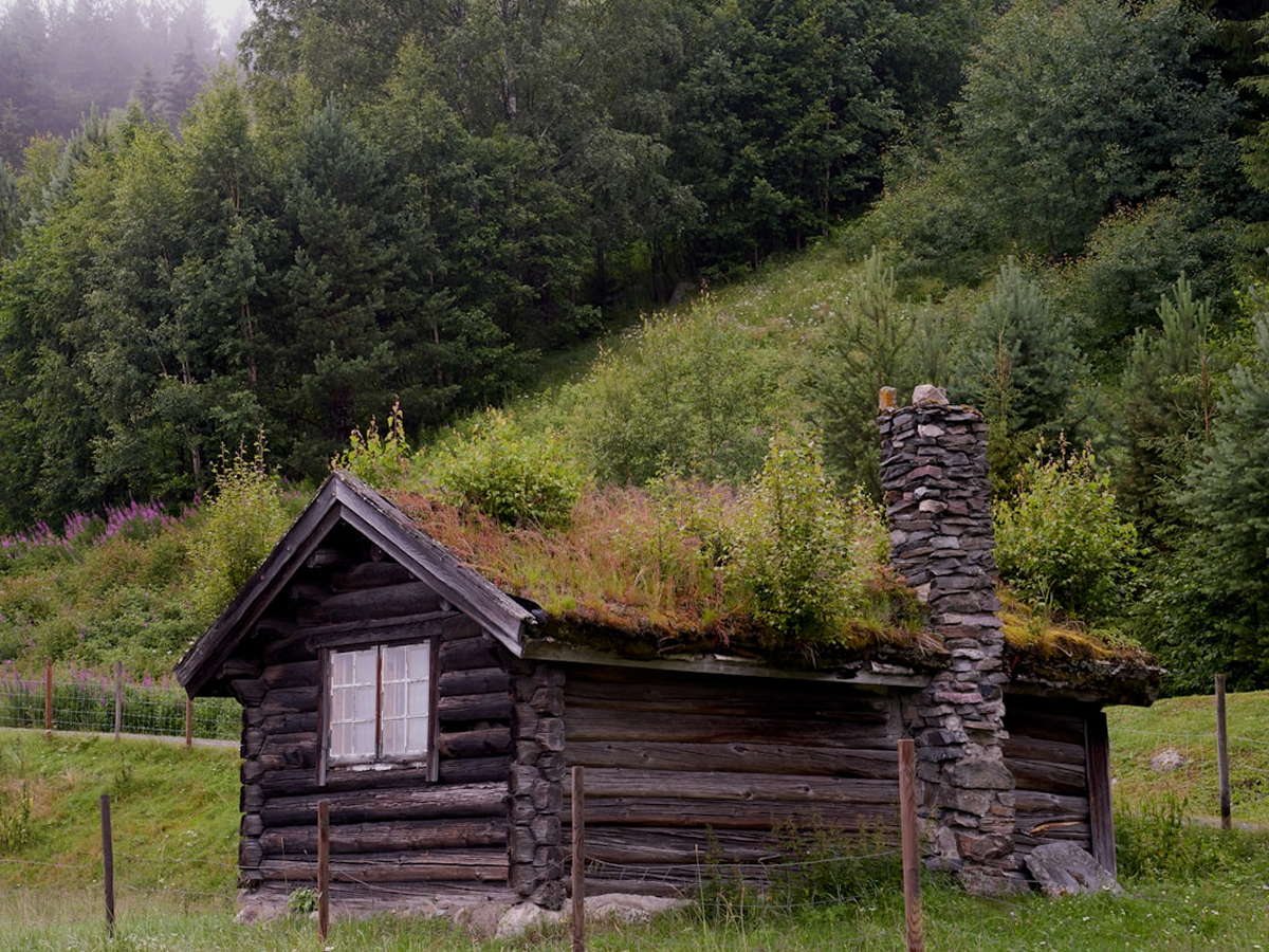 Skoglar Cabin