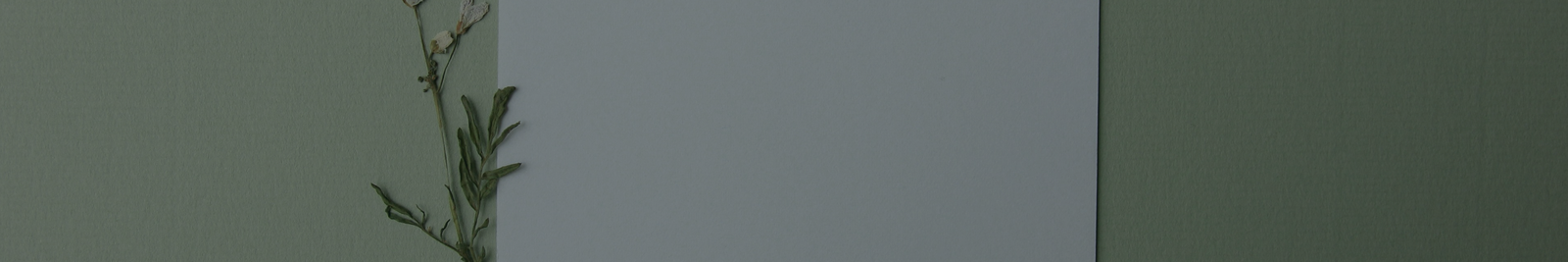 Pricing & Commission