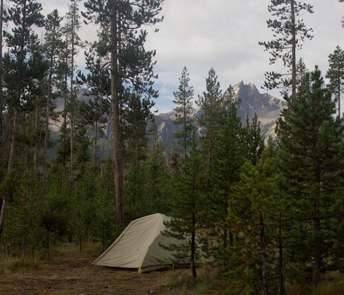 Safari Glamping Tents