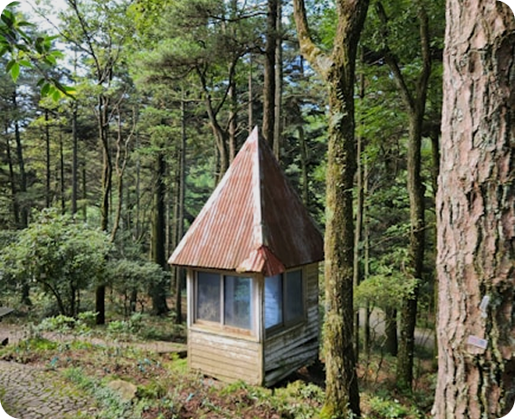 Nature retreat hut