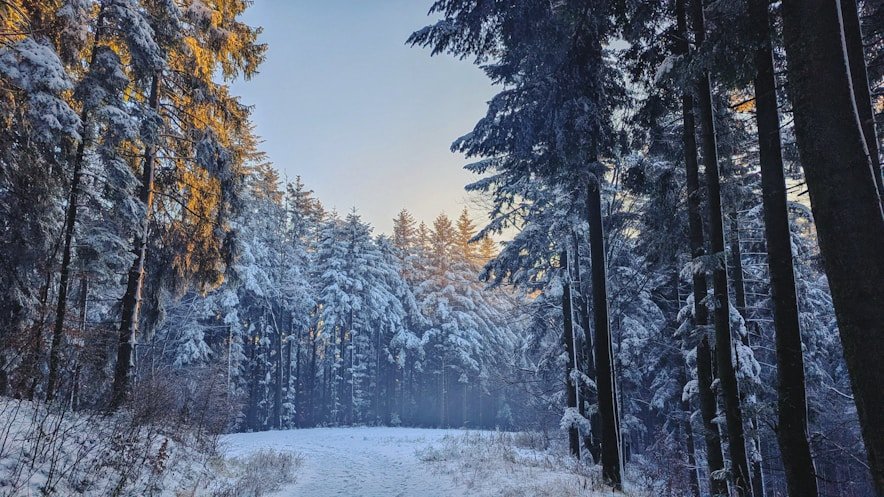 Glamping In Winter: Silence, Snow, And Comfort