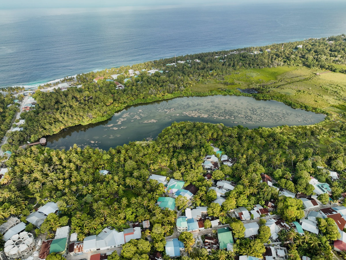 What travelers love about Skoglar